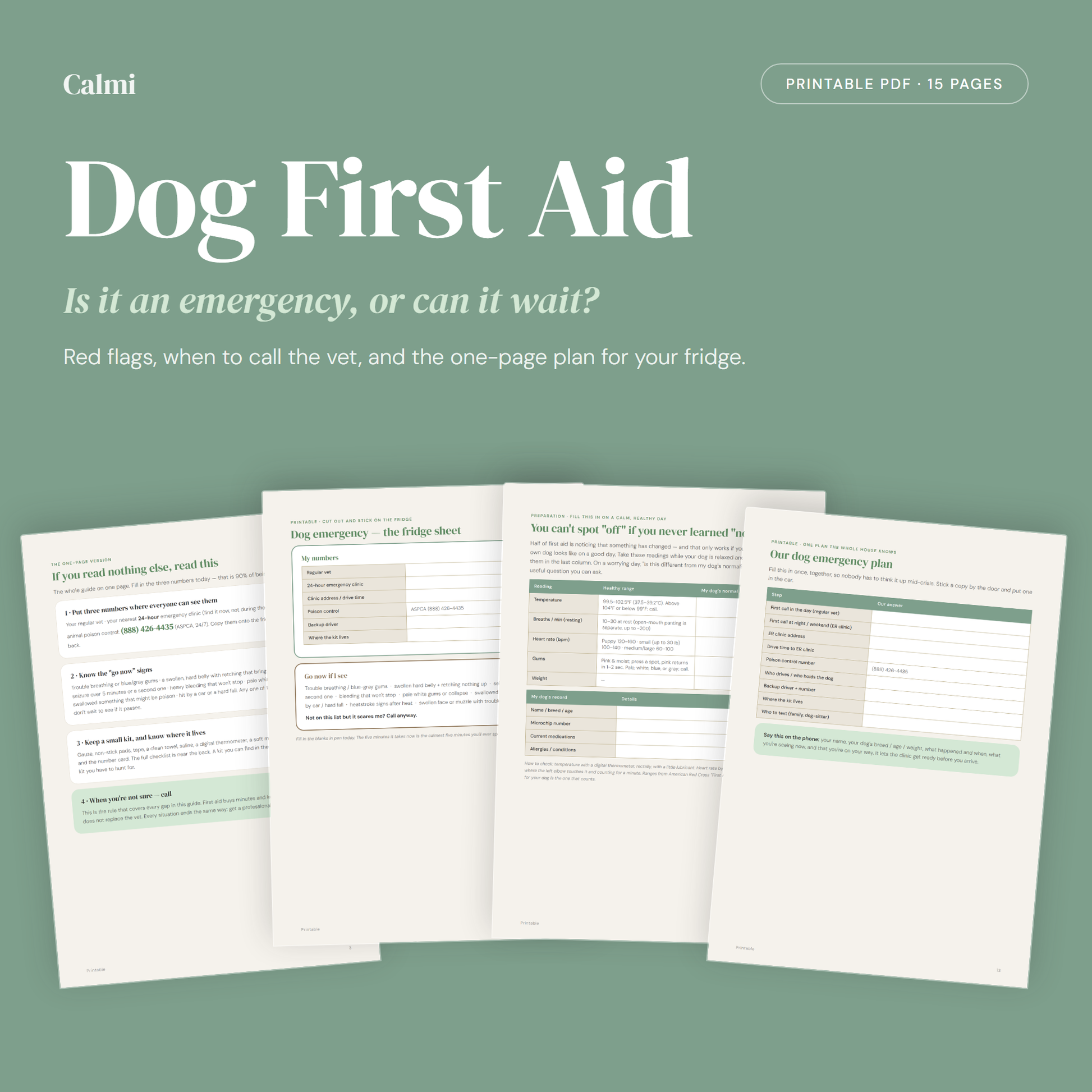 Dog First Aid — Is It an Emergency or Can It Wait? guide cover