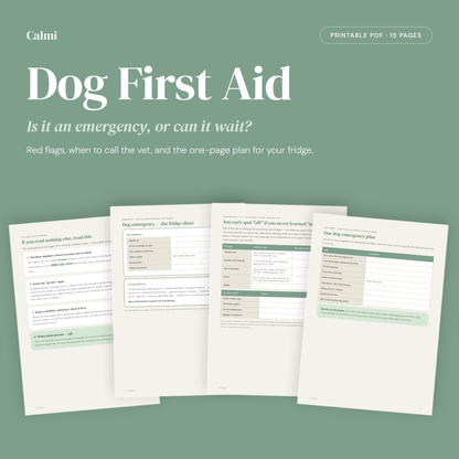 Dog First Aid — Is It an Emergency or Can It Wait? guide cover