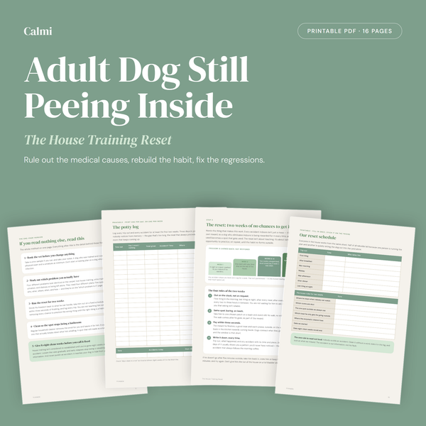 The House-Training Reset — Calmi dog guide cover