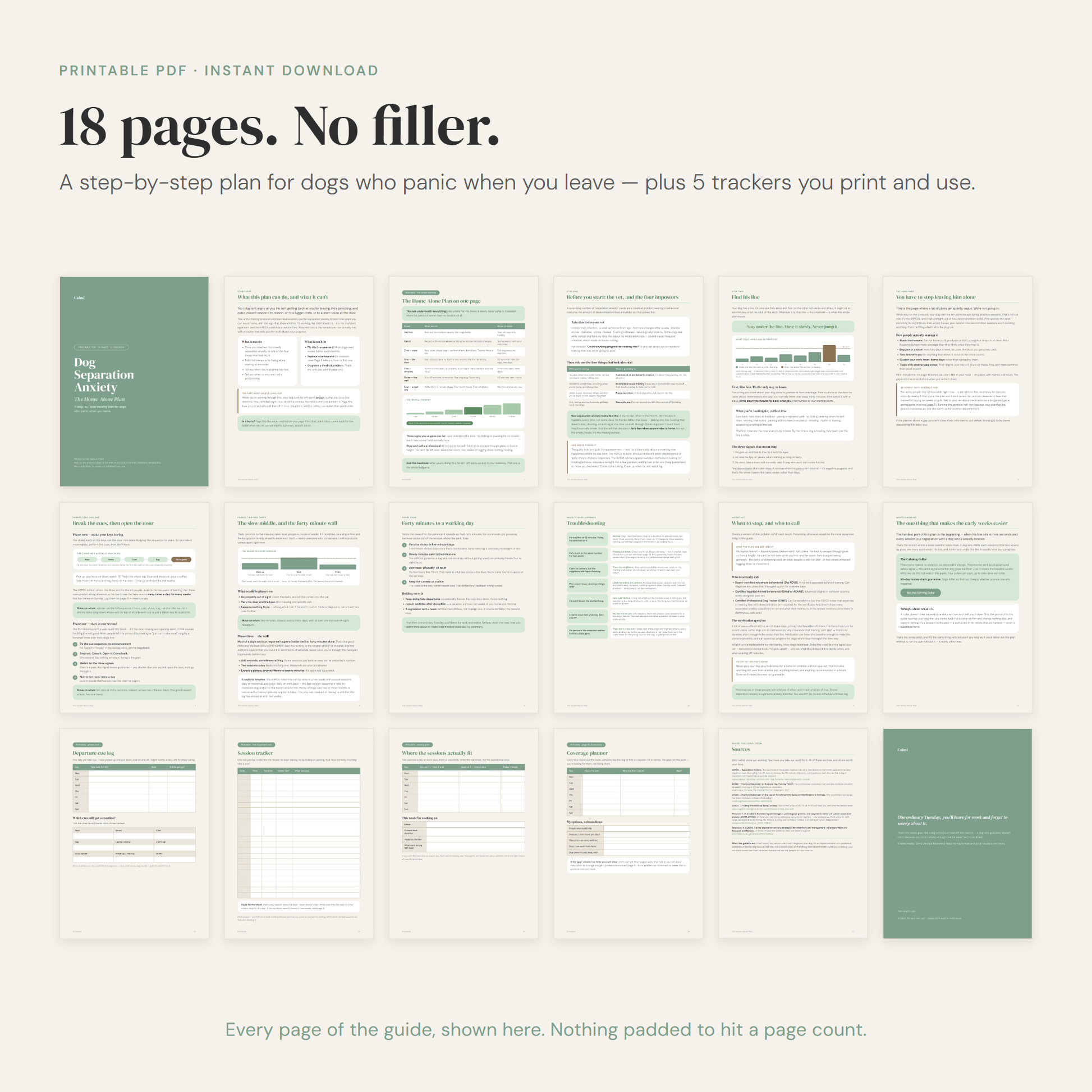 What's inside the 18-page Home-Alone Plan guide