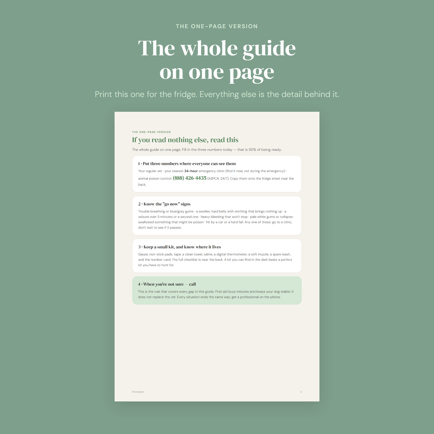 The whole first aid guide on one page