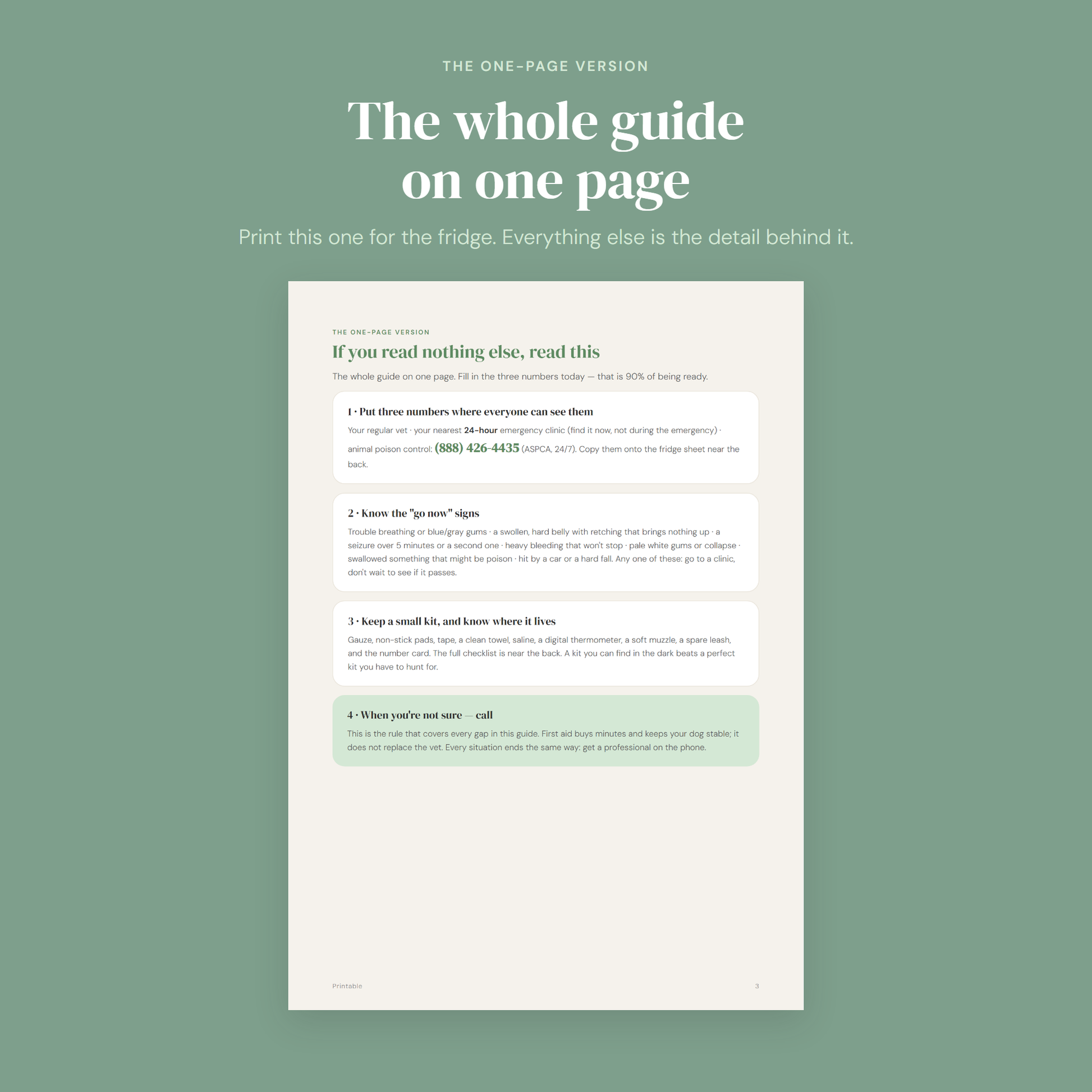 The whole first aid guide on one page