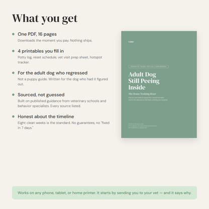 What you get: 16-page PDF plus 4 printables