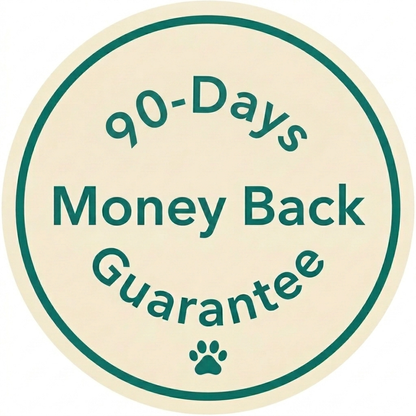 Help Your Anxious Dog Feel Safe Without Sedation