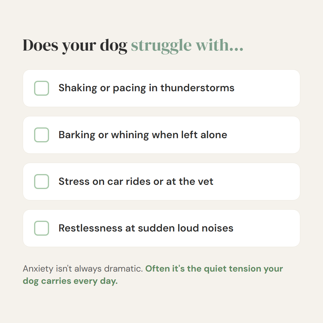Stop the Head-Shaking and Musty Ear Smell, Gently