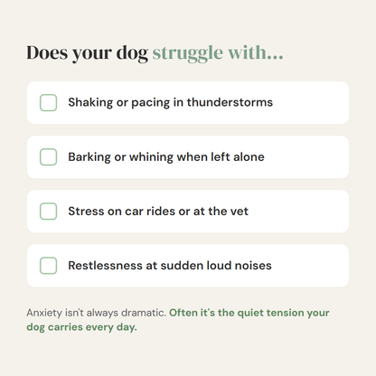 Stop the Head-Shaking and Musty Ear Smell, Gently