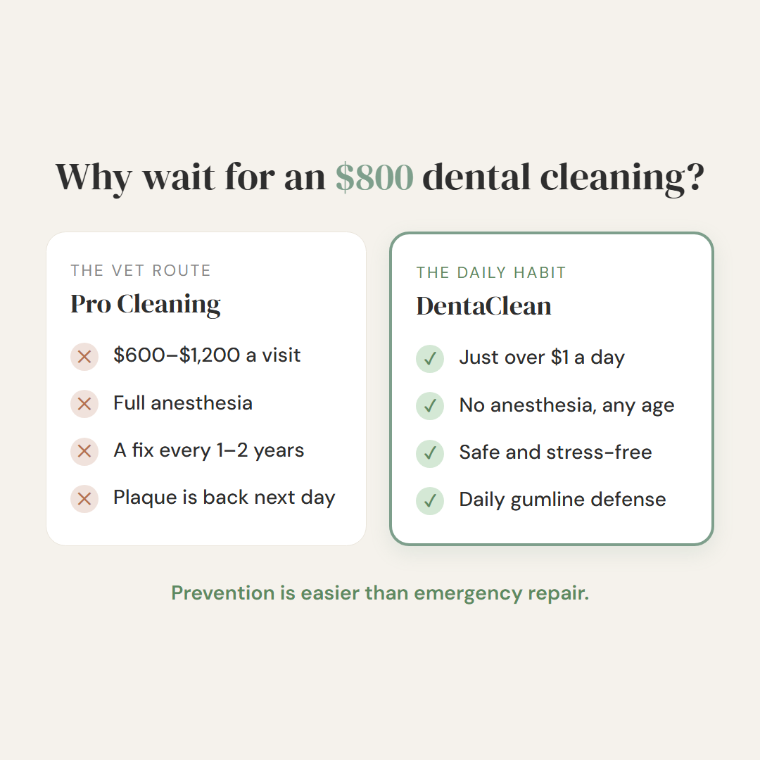 Skip the $800 Dental Cleaning — Without the Toothbrush Battle