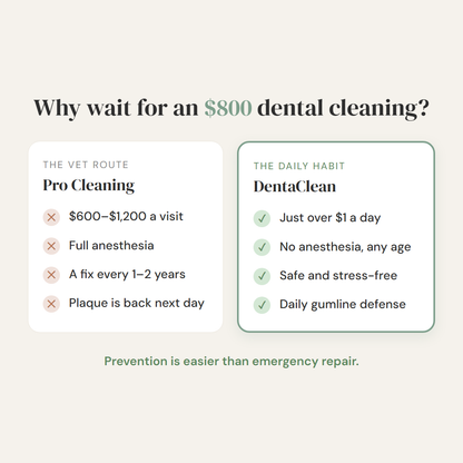 Skip the $800 Dental Cleaning — Without the Toothbrush Battle