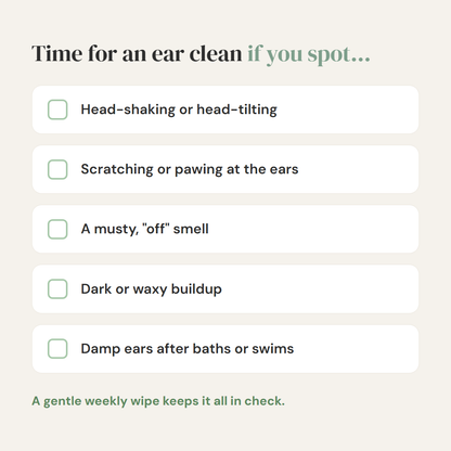 Stop the Head-Shaking and Musty Ear Smell, Gently